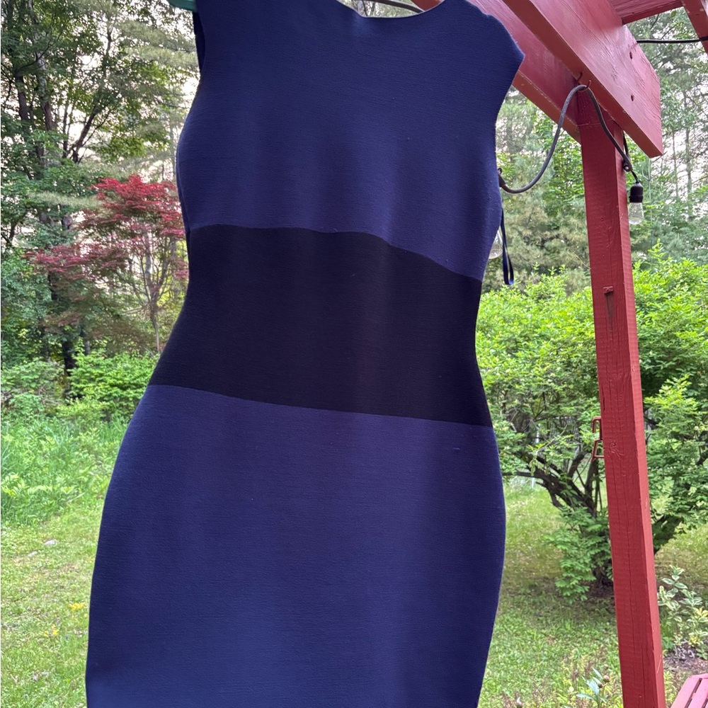 Milly Dress
